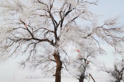 冬至朋友圈文案暖心一句話 今日冬至節氣的說說句子 冬至朋友圈文案暖心一句話 今日冬至節氣的說說句子