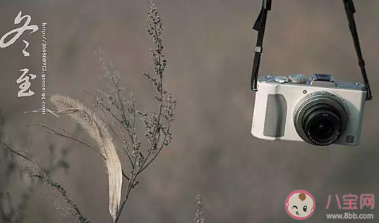 今日冬至經典祝福語 冬至節氣暖心祝福句子 今日冬至經典祝福語 冬至節氣暖心祝福句子