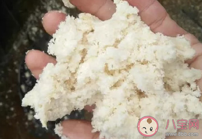 自制豆漿濾出的豆腐渣可以吃嗎 螞蟻莊園12月19日答案