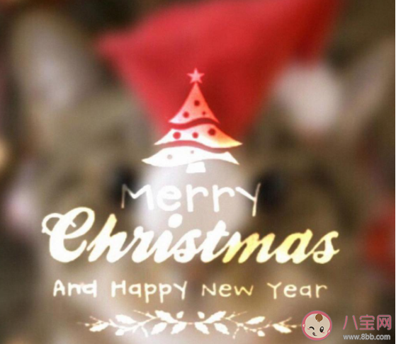 2020圣誕節文案暖心一句話朋友圈 2020圣誕節朋友圈文案暖心句子 2020圣誕節文案暖心一句話朋友圈 2020圣誕節朋友圈文案暖心句子