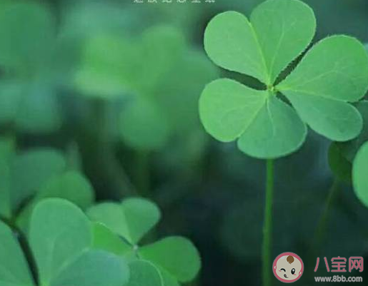 2021一天發朋友圈文案大全 最新元旦節創意唯美感言