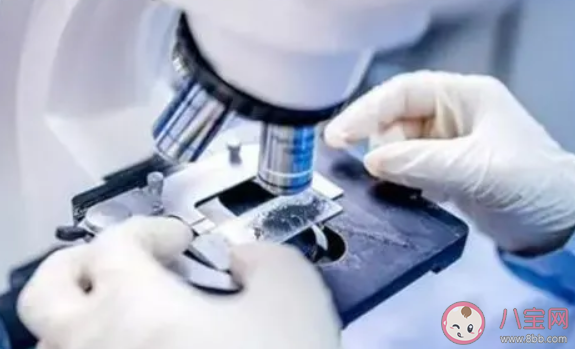 病毒變異元旦還能出行嗎 新冠病毒變異會有哪些影響
