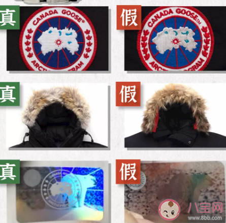 加拿大鵝羽絨服自己可以干洗嗎  加拿大鵝羽絨服真假怎么鑒別