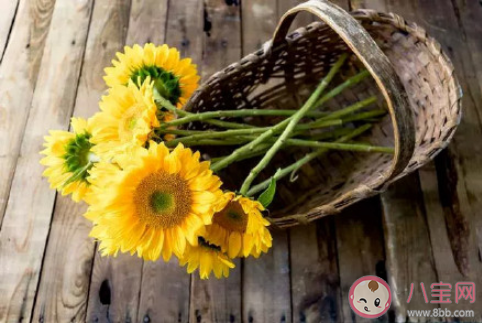 2020年經歷了太多的朋友圈心情說說 2020這一年經歷了太多感想句子