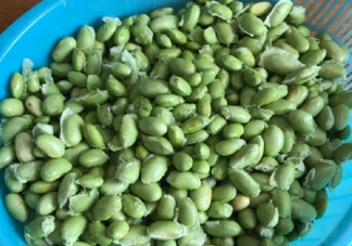 曬自己家種的青菜說說 自家種的蔬菜發朋友圈句子