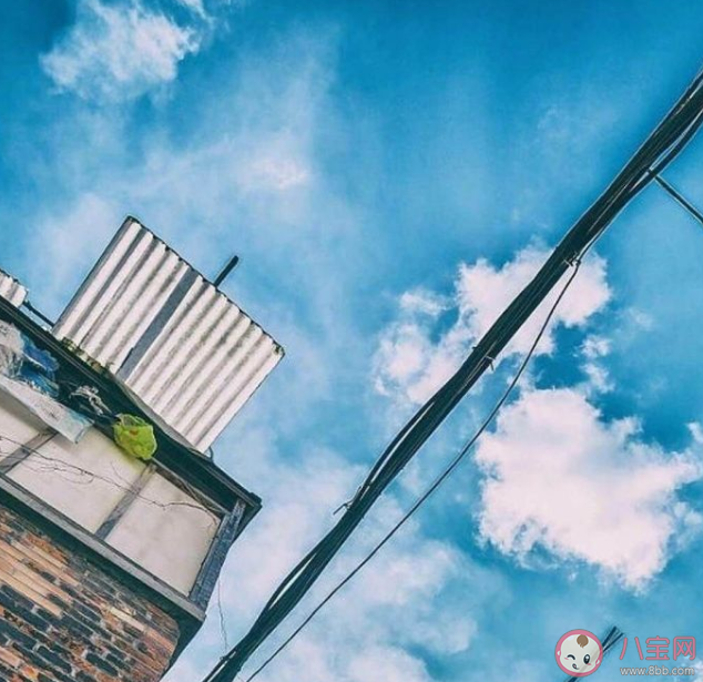 2021微信置頂語文案優美句子 微信朋友圈封面置頂文案大全