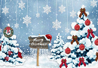 關于圣誕節溫馨的句子說說 圣誕節溫馨文案發朋友圈美句