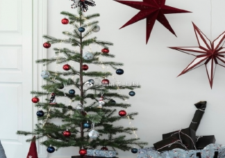 圣誕節(jié)心情好發(fā)朋友圈的說說大全 圣誕節(jié)心情好文案句子