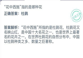 花中西施指的是哪種花 螞蟻莊園12月26日答案介紹