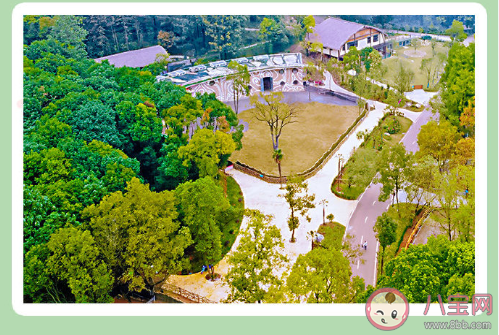 武漢野生動物王國什么時候開園 武漢野生動物王國有哪些好玩的