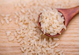 胚芽米是智商稅嗎 寶寶吃普通大米還是胚芽米好