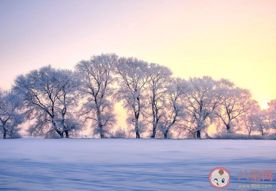 下列哪句詩是描寫冬天雪景的 支付寶螞蟻莊園12月31日問題答案