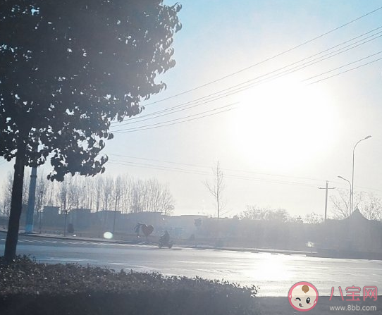 2020最后一天加油打氣勵志文案 2020最后一天感言感慨一句話