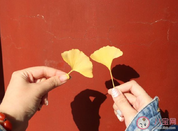 第一次去故宮的朋友圈文案 第一次去故宮經(jīng)典句子說說