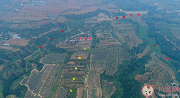 2020國內十大考古新聞 國內十大考古新聞是什么