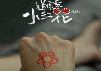 看完送你一朵小紅花朋友圈文案 電影送你一朵小紅花觀后感感慨