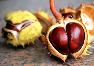 冬天吃栗子有什么好處 栗子食譜營養吃法