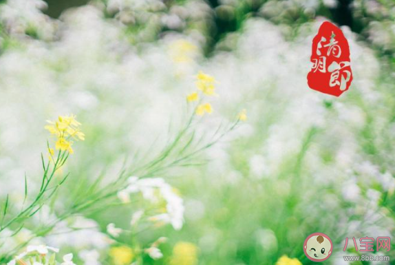 聰明節指的是我國哪個傳統節日 最新螞蟻莊園1月6日答案介紹