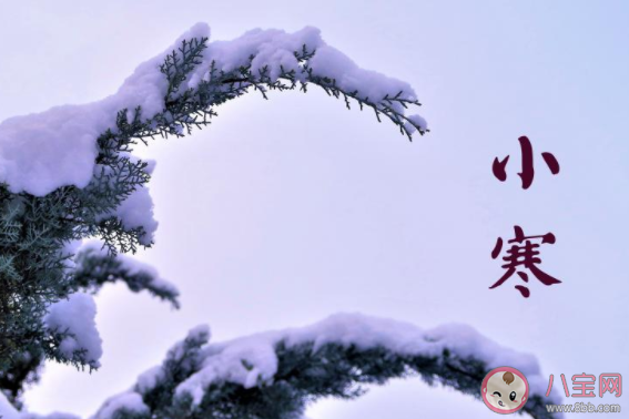 小寒節(jié)氣順口溜俗語一句話 大寒小寒又一年順口溜句子