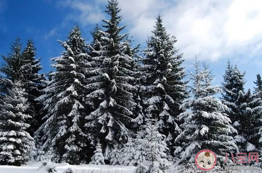 今天大寒發(fā)朋友圈文案 和大寒節(jié)氣有關(guān)的唯美句子