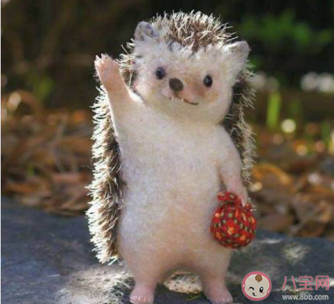 白月光在照耀你才想起她的好是什么歌 《白月光與朱砂痣》完整版歌詞在線聽歌