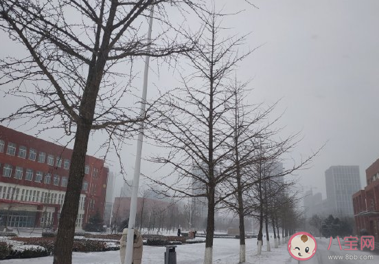 終于下大雪了好開(kāi)心曬朋友圈配文 曬大雪雪景唯美文字句子