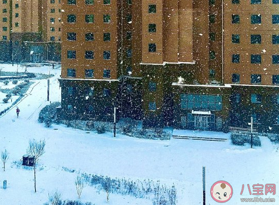 想看大雪紛飛發朋友圈說說 描寫大雪紛飛的優美感言句子