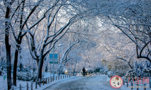 想看大雪紛飛發朋友圈說說 描寫大雪紛飛的優美感言句子