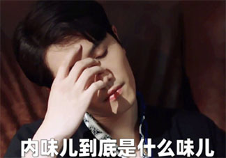 內味兒到底是啥味兒 內味兒是什么梗