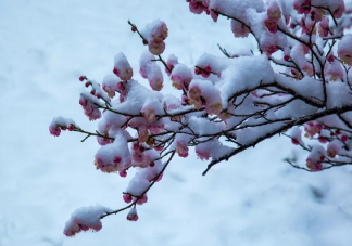 今天大寒發(fā)朋友圈文案 和大寒節(jié)氣有關(guān)的唯美句子