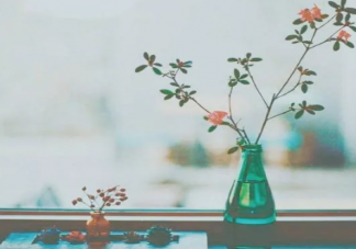 為什么我們的生活里需要文學 閱讀帶給成年人的是什么