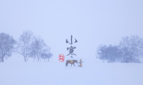 大寒和小寒哪個時段更冷 螞蟻莊園1月6日答案