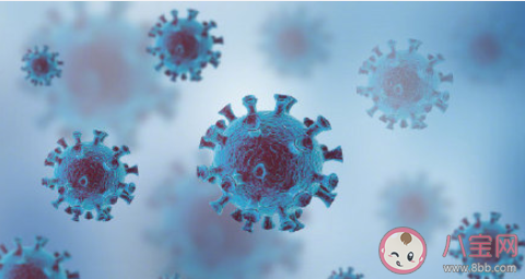 河北多條高速禁止上道勸返車輛是怎么回事 具體是哪些道路