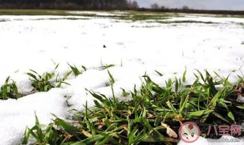 2021首次寒潮發(fā)朋友圈配圖文案 2021首次寒潮心情感慨句子