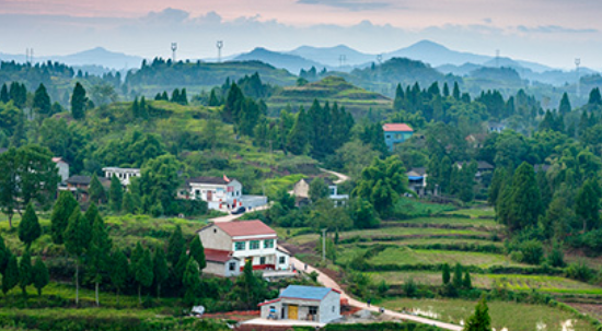 為什么農村病毒傳播風險大 農村如何做好防疫工作