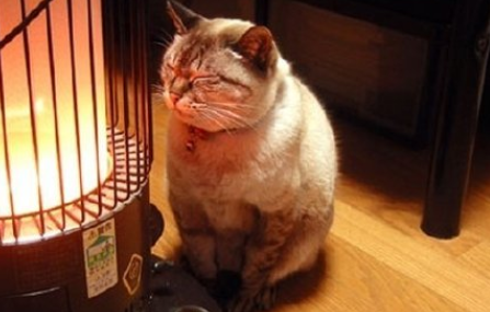 大風降溫天怎么穿衣更保暖 降溫天里的保暖攻略