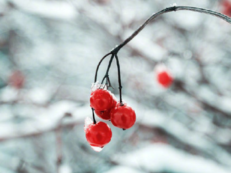 三九天很冷注意保暖的溫馨提示句子 三九天到了注意保暖的說(shuō)說(shuō) 三九天很冷注意保暖的溫馨提示句子 三九天到了注意保暖的說(shuō)說(shuō)