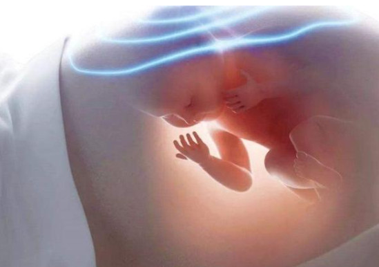 哪個季節是生寶寶的最佳時間 春夏秋冬哪個季節生小孩好