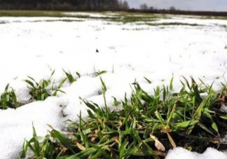 二十四節氣中“小寒”和“大寒”都是冬季節氣哪個時段更冷 支付寶螞蟻莊園1月6日問題答案