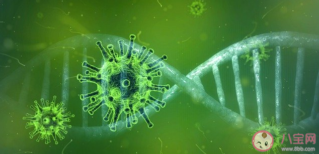 廣東報告新冠病毒南非突變株是什么情況 ?變異新冠病毒501Y.V2更危險嗎