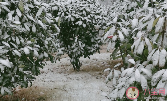 冬天走在路上耳朵疼發朋友圈說說 冬天走在路上耳朵疼幽默搞笑句子 冬天走在路上耳朵疼發朋友圈說說 冬天走在路上耳朵疼幽默搞笑句子