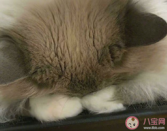 冬天刮大風發朋友圈說說 冬天的大風幽默搞笑句子