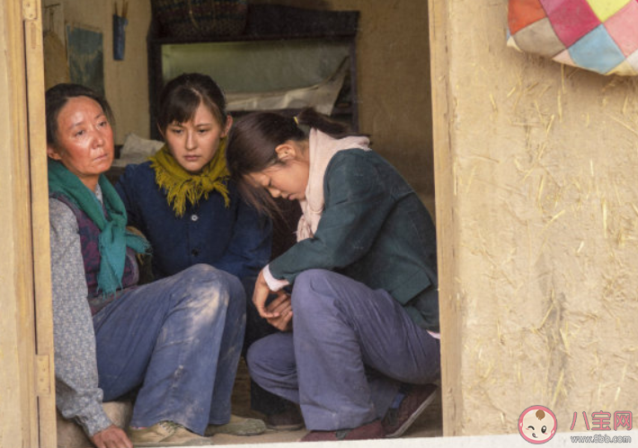 《山海情》的故事背景是怎樣的 《山海情》共多少集在哪看