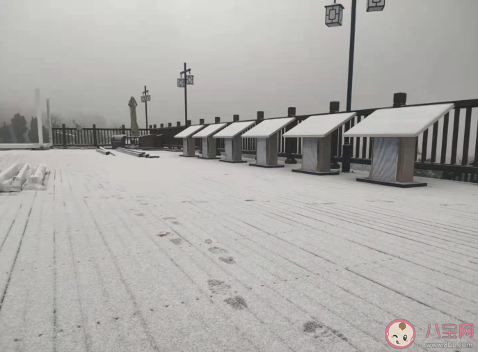 2021第一場雪朋友圈說說句子 2021第一場雪朋友圈雪景配文案句子