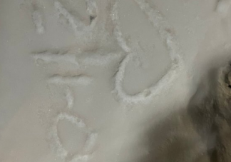一個人的冬天冷傷感的說說 一個人的冬天冷心情感慨