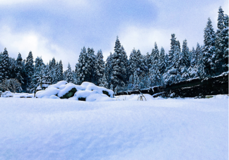 2021第一場雪朋友圈說說句子 2021第一場雪朋友圈雪景配文案句子