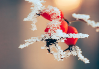 臘八節和大寒節氣同一天祝福語怎么發 臘八節和大寒節氣同一天朋友圈說說