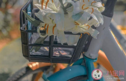 記錄人間煙火的文案說說 充滿人間煙火氣的唯美句子