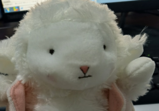 年底太忙心情感慨說說 年底太忙了曬朋友圈句子