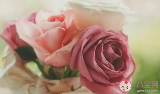 生活中有哪些值得堅持的小習慣 受益一生的小習慣盤點